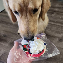 Dogtopia of Northville - Photo 8 - Car repair in Northville, MI, South Lyon