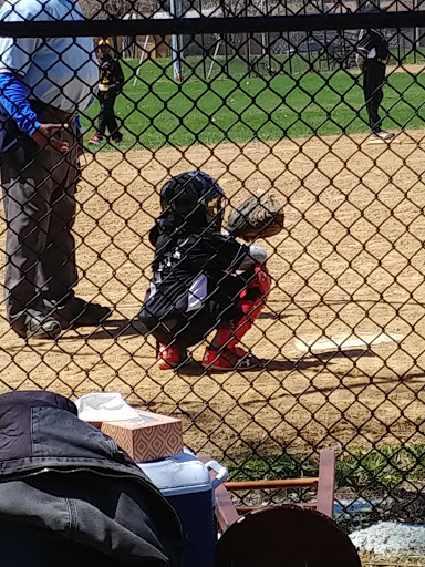 Park «Hayes Park», reviews and photos, 2936 W 85th St, Chicago, IL 60652, USA