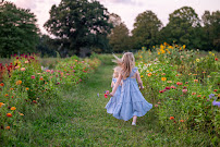 Helen Provost Photography - Photo 2 - Car repair in Berlin, MA, Leominster