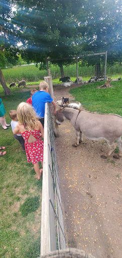 Zoo «Trowbridge Creek Zoo», reviews and photos, 50622 Co Rd 17, Vergas, MN 56587, USA