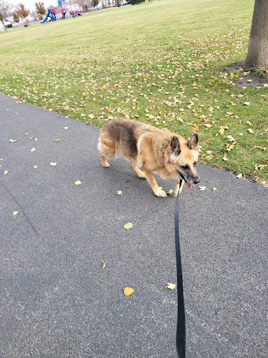 Park «Jim Hansen Park», reviews and photos, 338 Valley Forge Ave, South Elgin, IL 60177, USA