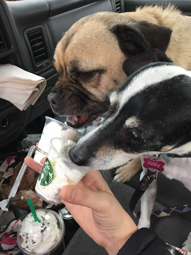 Coffee Shop «Starbucks», reviews and photos, 311 S State Rd 135, Greenwood, IN 46142, USA