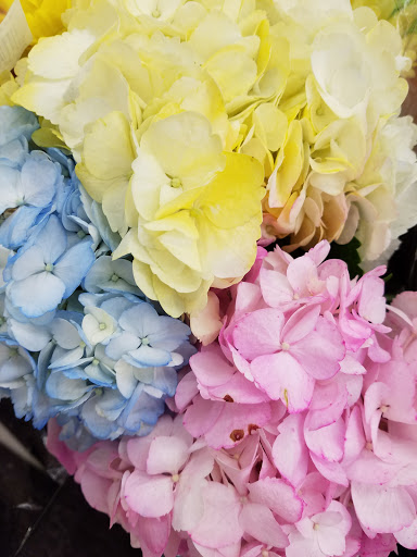 Grocery Store «Winn-Dixie», reviews and photos, 20417 Biscayne Blvd, Aventura, FL 33180, USA