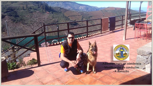 Adiestrador canino Las Palmas Gran Canaria