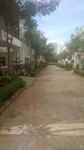 Google Maps image 25