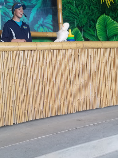 Educational Institution «Institute For Marine Mammal Studies», reviews and photos, 10801 Dolphin Ln, Gulfport, MS 39503, USA