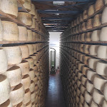 Photo n°4 de l'avis de Debby.r fait le 20/03/2022 à 17:03 sur le  Nonno Contadino à Reggio Emilia