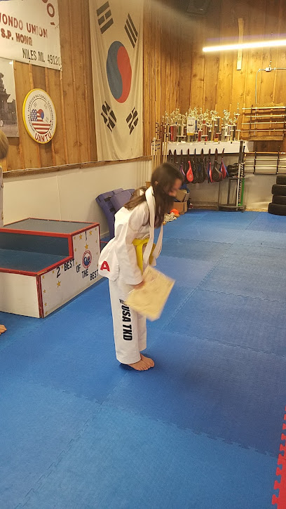 Hong's USA Taekwondo, Habgido, Gumdo, Inc.