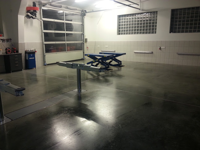 VELOSTAT LESZEK LISIK Elektronika samochodowa.