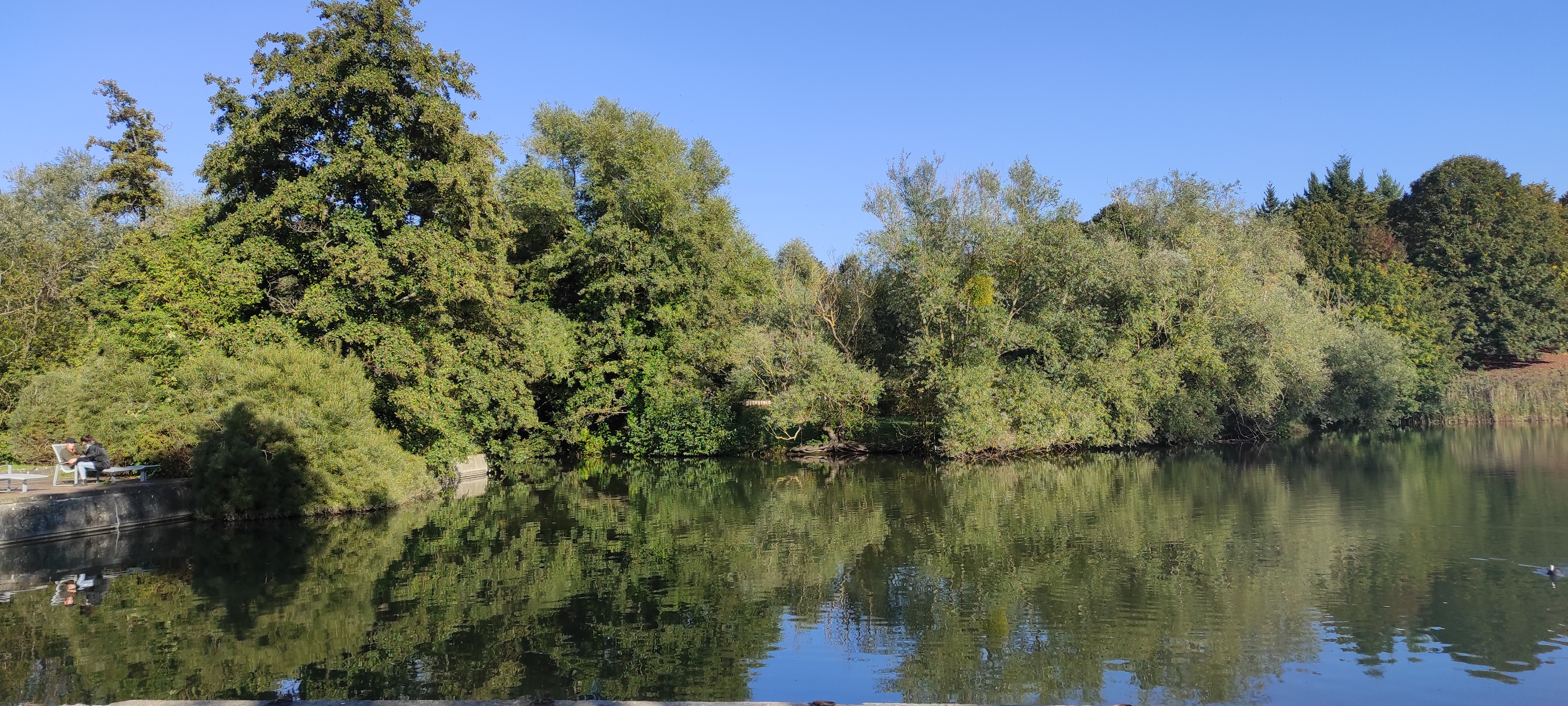 Photo n° 1 de l'avis de Tiniquaise.l fait le 13/10/2021 à 11:06