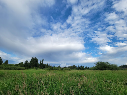 Park «N. Creek Park», reviews and photos, 1011 183rd St SE, Bothell, WA 98012, USA