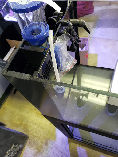 Tropical Fish Store «Saltwater Island», reviews and photos, 15214 Manchester Rd, Ballwin, MO 63011, USA