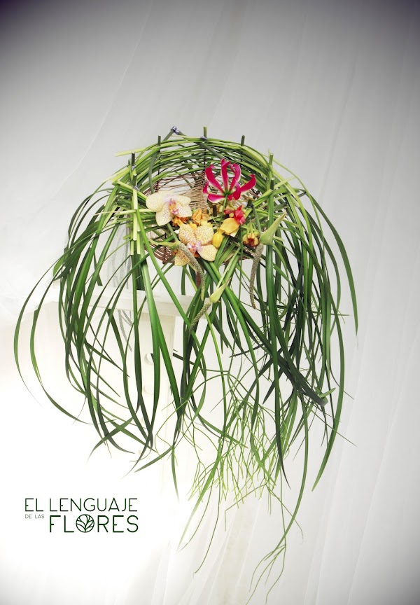 Imagen de Floristería El Lenguaje de las Flores (12 de 18)