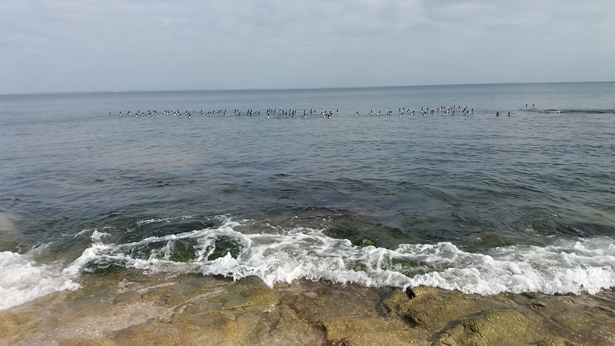 Photo n° 3 de l'avis de Eddie.a fait le 01/03/2019 à 13:52