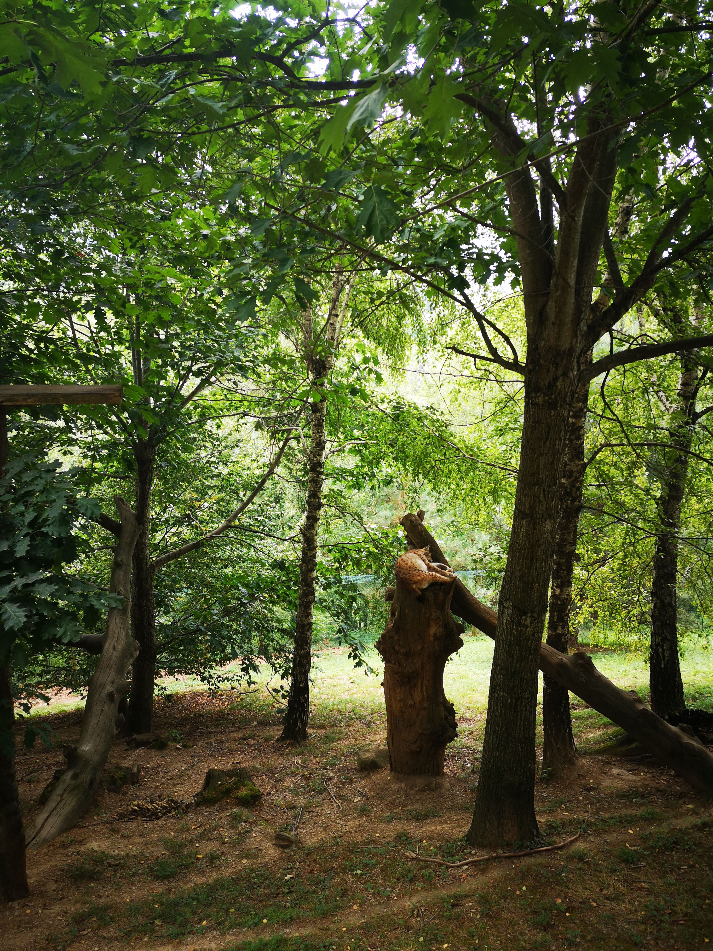 Photo n° 32 de l'avis de Xxx.x fait le 14/08/2020 à 21:01