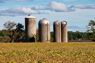Mattland Farms