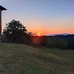 Photo n°1 de l'avis de Luca.r fait le 09/08/2020 à 11:43 sur le  Fattoria Di Colleoli à Palaia