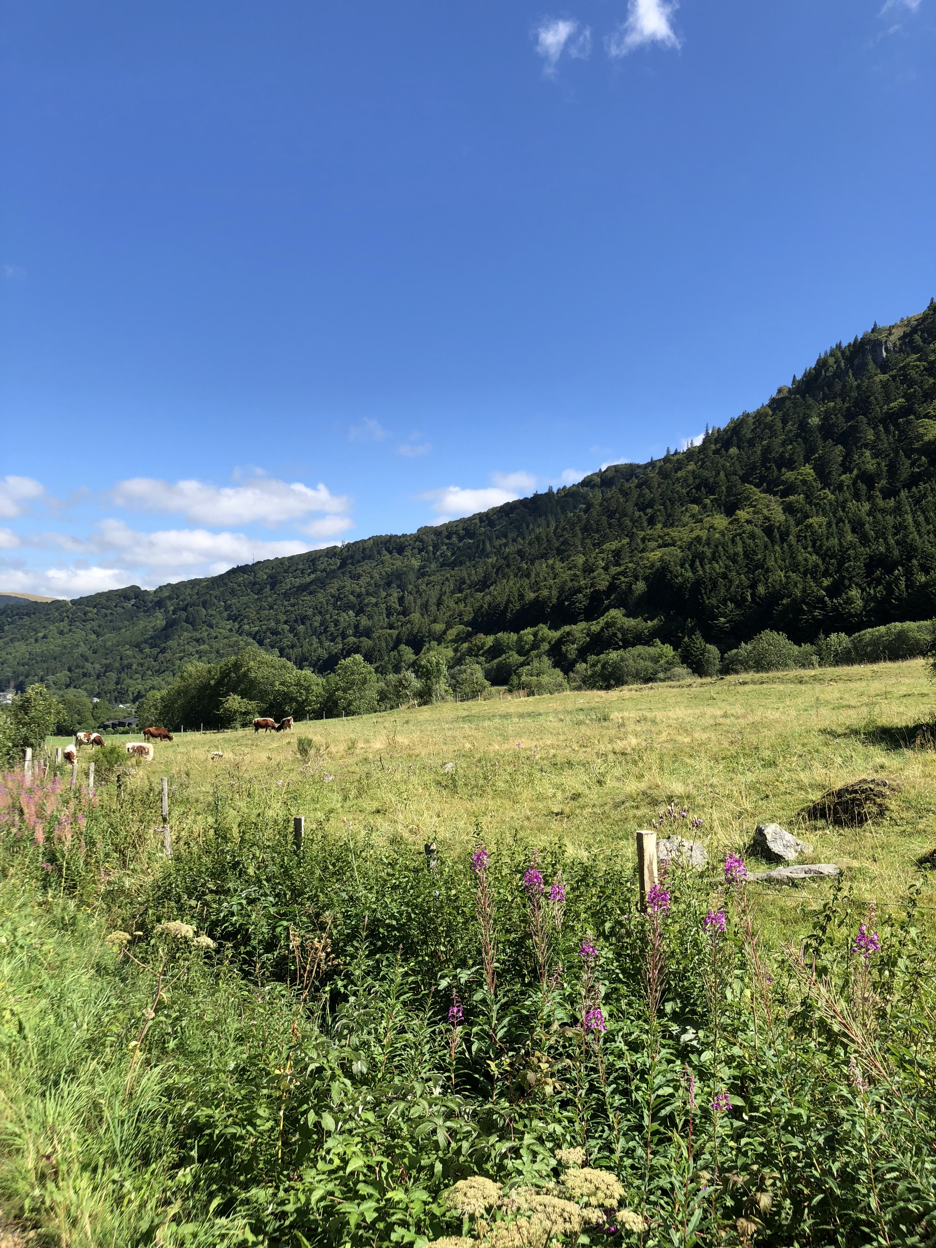 Photo n° 6 de l'avis de Romain. fait le 16/12/2018 à 22:04