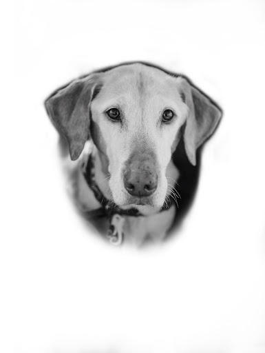 Tattoo Shop «Love N Hate Elite Tattoo Studio», reviews and photos, 2370 W Alameda Ave, Denver, CO 80223, USA