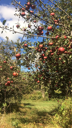 Winery «Four Sisters Winery», reviews and photos, 783 County Road 519, Belvidere, NJ 07823, USA