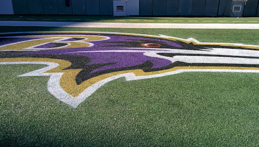Stadium «M&T Bank Stadium», reviews and photos, 1101 Russell St, Baltimore, MD 21230, USA
