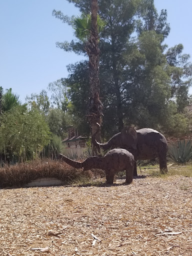 Golf Club «Camelback Golf Club», reviews and photos, 7847 N Mockingbird Ln, Scottsdale, AZ 85253, USA