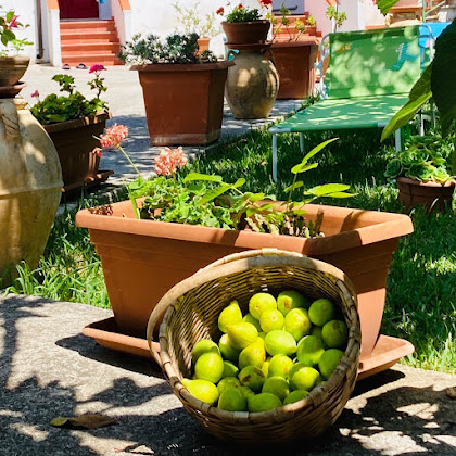 Plats et boissons Casa vacanza Villa Lesina Casa Vacanza BB 84048 Alani