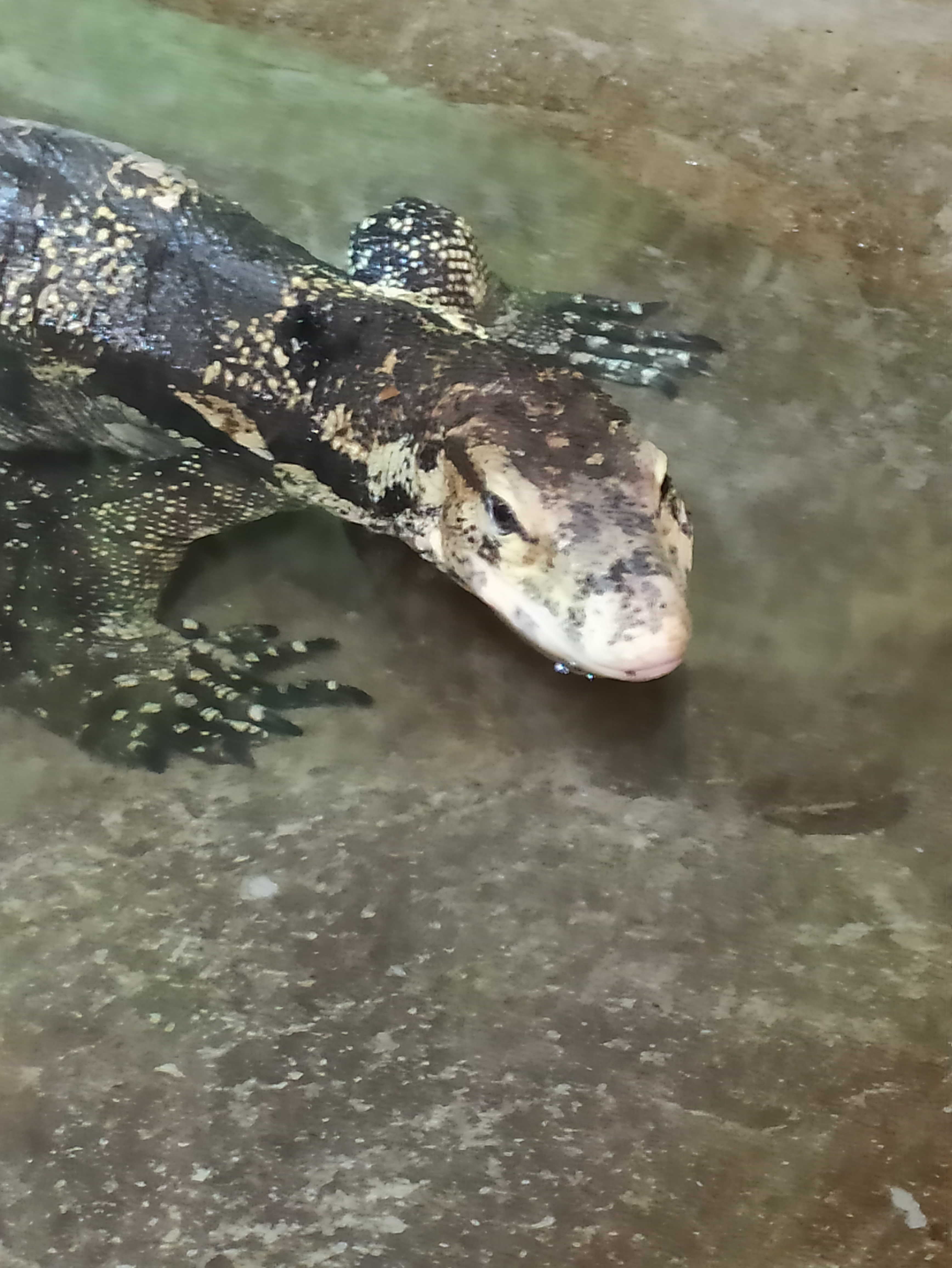 Photo n° 3 de l'avis de Pam.a fait le 19/07/2023 à 20:50