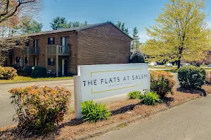 The Flats at Salem Apartment Homes image