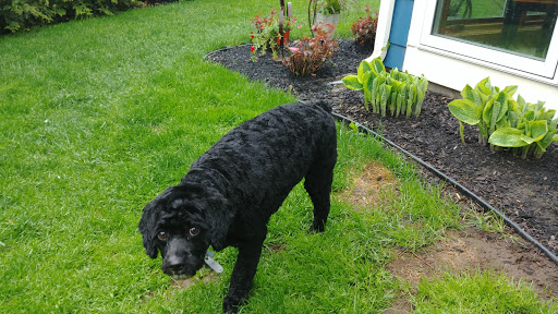 Pet Supply Store «PetSmart», reviews and photos, 421 Commerce Dr, Victor, NY 14564, USA