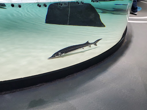 Aquarium «Great Lakes Aquarium», reviews and photos, 353 Harbor Dr, Duluth, MN 55802, USA