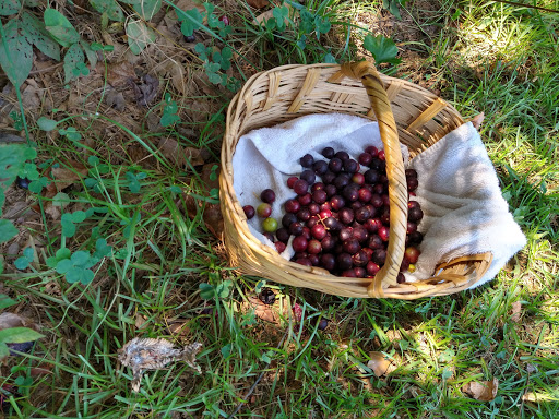 Shopping Mall «Easley Village Shopping Center», reviews and photos, 5155 Calhoun Memorial Hwy, Easley, SC 29640, USA