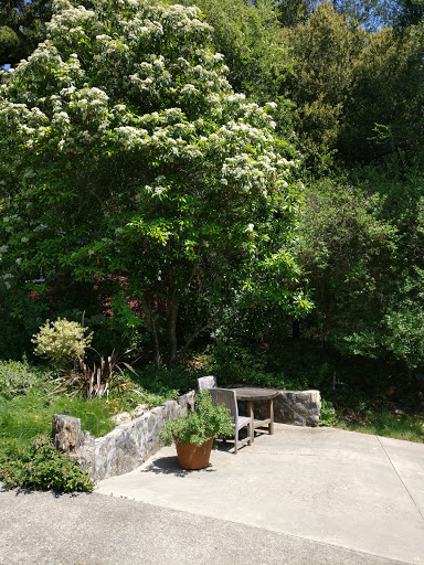 National Forest «Petrified Forest», reviews and photos