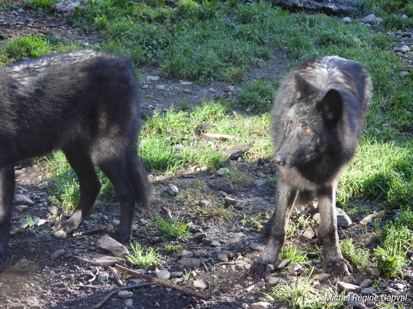 Photo n° 38 de l'avis de michel.a fait le 03/10/2019 à 13:25