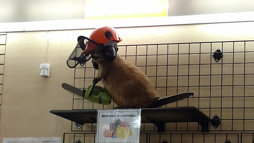 Hardware Store «Bells Ferry Ace Hardware», reviews and photos, 6437 Highway 92, Acworth, GA 30102, USA