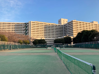 東白鬚公園テニスコート