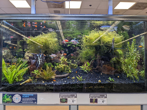 Pet Supply Store «Petco Animal Supplies», reviews and photos, 845 S Arroyo Pkwy, Pasadena, CA 91105, USA