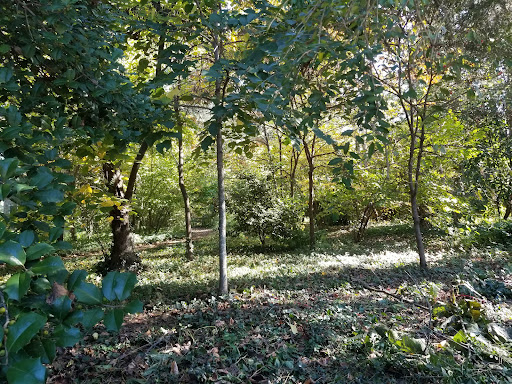 Museum «Kenmore», reviews and photos, 1201 Washington Ave, Fredericksburg, VA 22401, USA