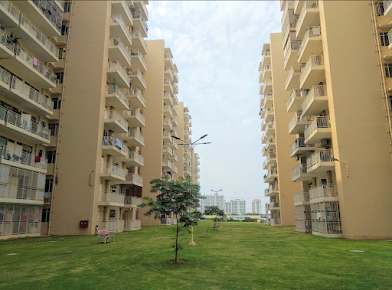 Google Maps image 21