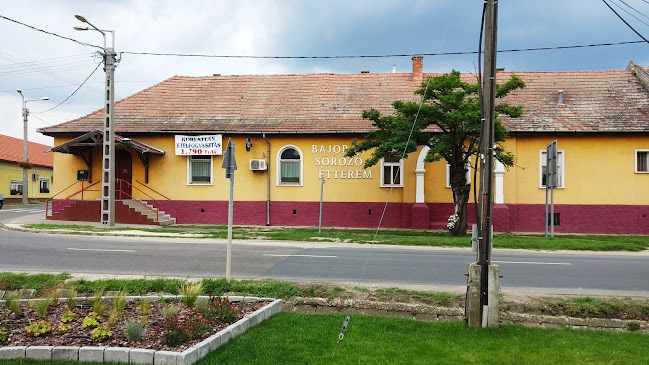 Opinii despre Bajor Étterem és Söröző în Ócsa - Étterem