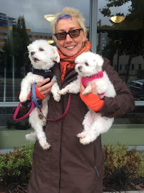 Jing! Go Walking Small Animal Acupressure, Walking & Boarding - Photo 9 - Car repair in , Portland