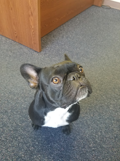 Auto Insurance Agency «Michael A McGuire Agency», reviews and photos