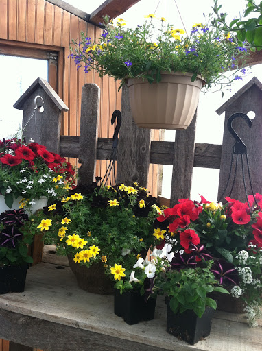 Garden Center «Hildebrant Farmers Market», reviews and photos, 349 Main Ave E, West Fargo, ND 58078, USA