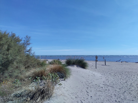 Spiaggia di Porto Caleri