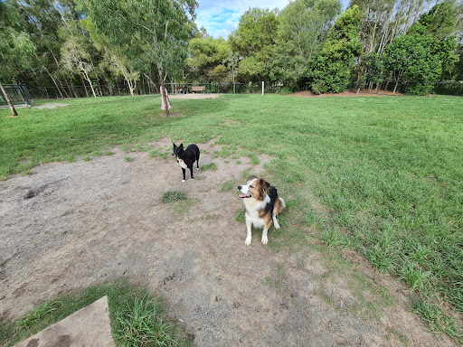 🐕 Peregian Springs Fenced Dog Park