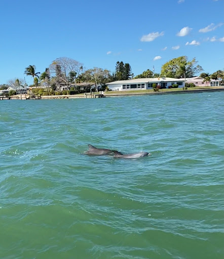 Boat Tour Agency «Adventure Cruises Inc», reviews and photos, 5500 Gulf Blvd, St Pete Beach, FL 33706, USA