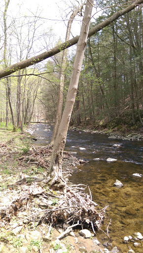 Nature Preserve «Schiff Natural Lands Trust/Schiff Nature Preserve», reviews and photos, 339 Pleasant Valley Rd, Mendham, NJ 07945, USA
