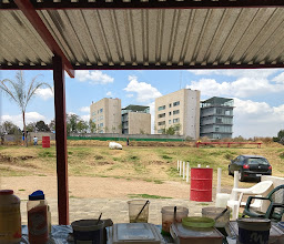 Cafetería las palmas photo