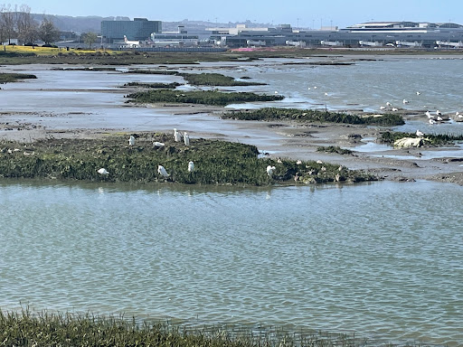 Park «Bayside Park», reviews and photos, 1125 Airport Blvd, Burlingame, CA 94010, USA