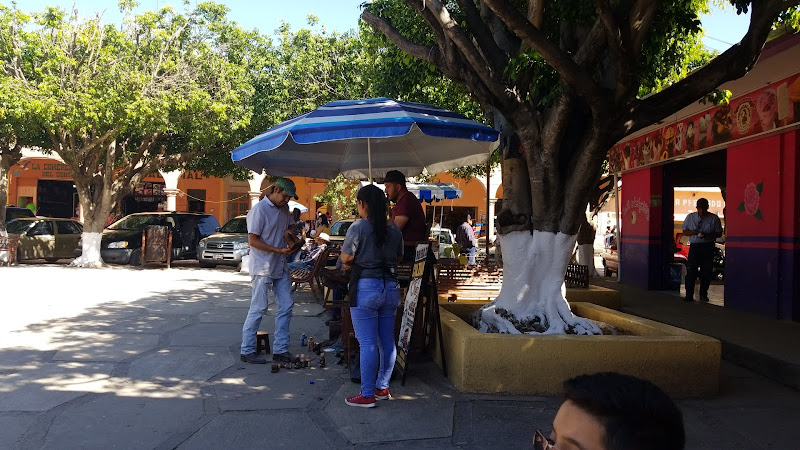 VETERINARIA RAMIREZ PLAZA